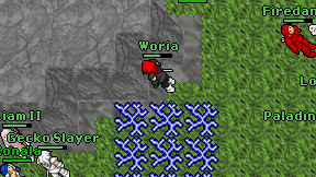 Woria on screen