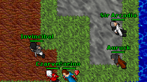 Invincibal on screen