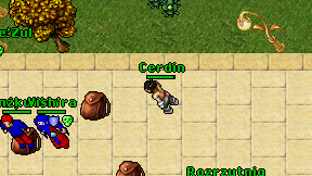 Cerdin on screen