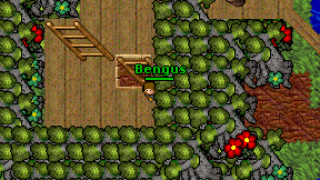Bengus on screen