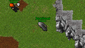Joxiloxi on screen