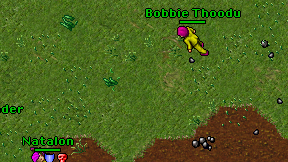 Bobbie Thoodu on screen