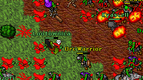 Lootownica on screen