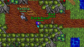 Dark koor on screen