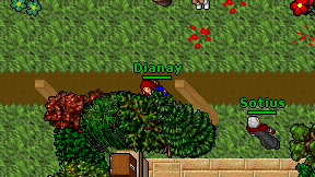 Dianay on screen