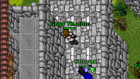 Graf Thalion on screen