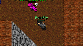 Fox Fly on screen