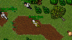 Eddy Sun on screen