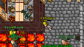 Leliouz on screen