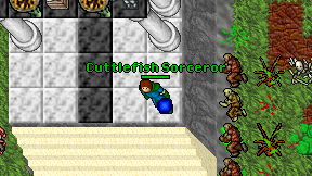 Cuttlefish Sorceror on screen