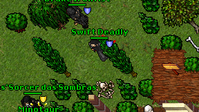 Swift Deadly on screen