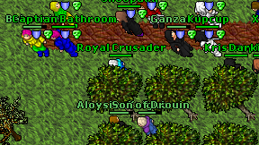 Royal Crusader on screen