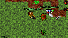 Cyclone Jin on screen