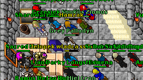 Grey Palladyn on screen