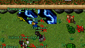 Arcadolyn on screen