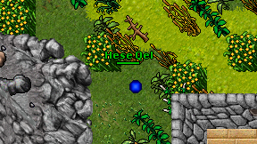Hese Qel on screen