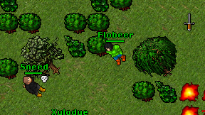Flobeer on screen