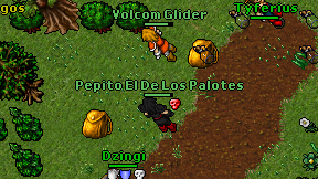 Volcom Glider on screen