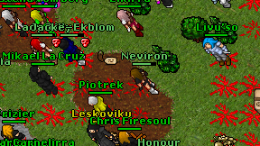 Neviron on screen