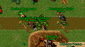 Zonespy on screen