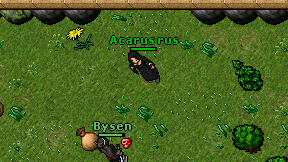 Acarus rus on screen