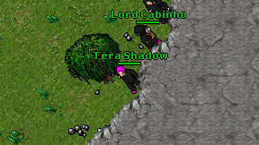 Tera Shadow on screen
