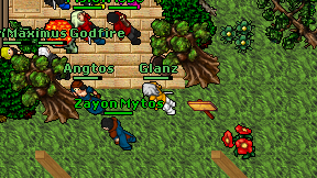Glanz on screen