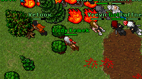 Lady Kemek on screen