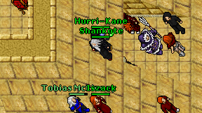 Shankote on screen