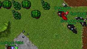 Delgado on screen