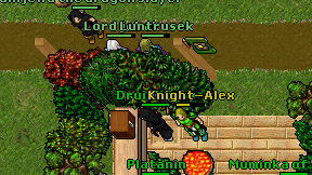 Druid'Vizzy on screen