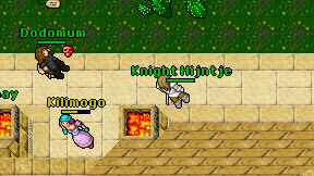 Knight Hijntje on screen