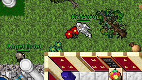 Krisswu on screen