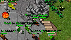 Turkowianka on screen