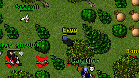 Esgu on screen