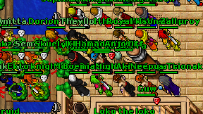 Paladine Ally on screen