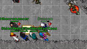 Duncam on screen