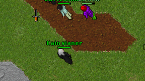 Kain sianer on screen