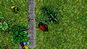 Sagazer on screen