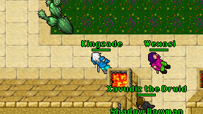 Kingzade on screen