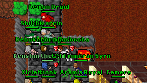 Demon Druid on screen