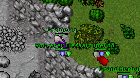Grzbieciq on screen