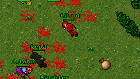 Cibool on screen