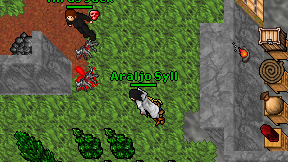 Araljo Syll on screen