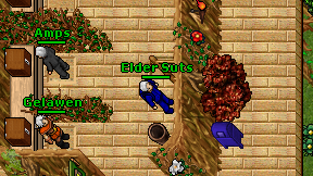 Elder Suts on screen