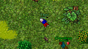 Thri on screen