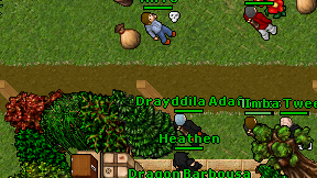 Drayddila Adaf on screen