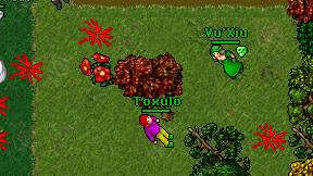 Toxulo on screen