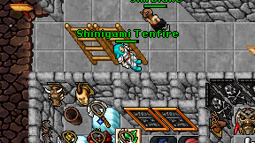 Shinigami Tenfire on screen