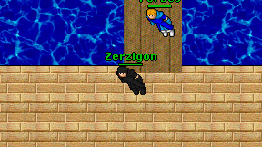 Zerzigon on screen